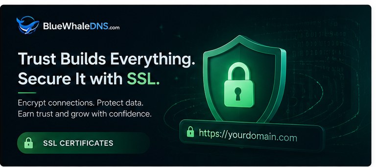 SSL certificate shield with padlock